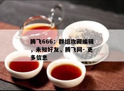 腾飞666：群组攻藏编辑，未知好友，腾飞网- 更多信息