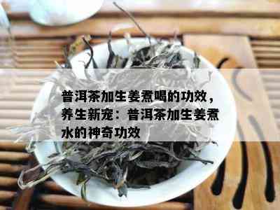 普洱茶加生姜煮喝的功效，养生新宠：普洱茶加生姜煮水的神奇功效