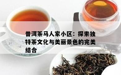 普洱茶马人家小区：探索特别茶文化与美丽景色的完美结合