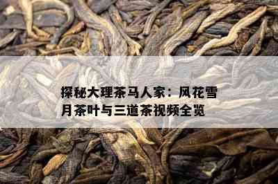 探秘大理茶马人家：风花雪月茶叶与三道茶视频全览