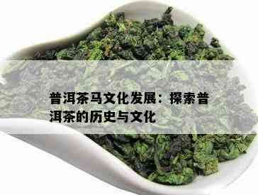 普洱茶马文化发展：探索普洱茶的历史与文化