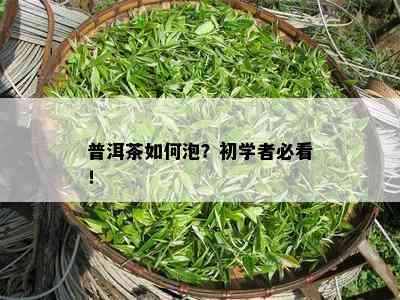 普洱茶怎样泡？初学者必看！