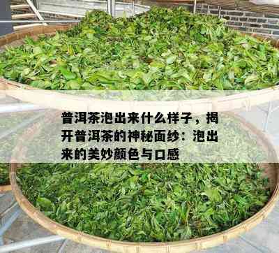 普洱茶泡出来什么样子，揭开普洱茶的神秘面纱：泡出来的美妙颜色与口感