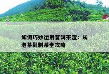 怎样巧妙运用普洱茶渣：从泡茶到制茶全攻略