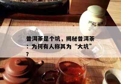 普洱茶是个坑，揭秘普洱茶：为何有人称其为“大坑”？