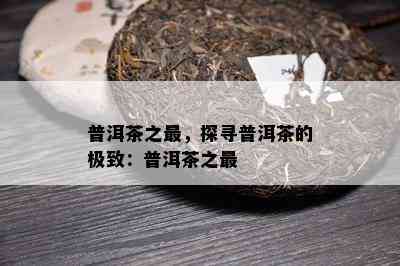 普洱茶之最，探寻普洱茶的极致：普洱茶之最