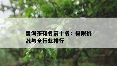 普洱茶排名前十名：极限挑战与全行业排行