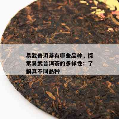 易武普洱茶有哪些品种，探索易武普洱茶的多样性：了解其不同品种