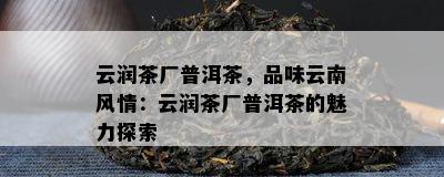 云润茶厂普洱茶，品味云南风情：云润茶厂普洱茶的魅力探索