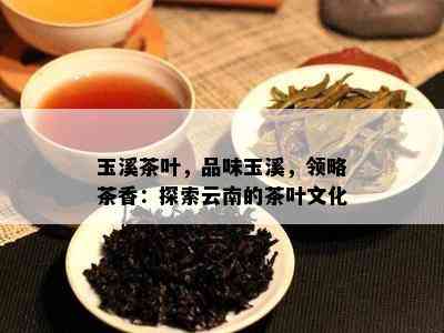 玉溪茶叶，品味玉溪，领略茶香：探索云南的茶叶文化