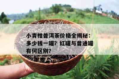 小青柑普洱茶价格全揭秘：多少钱一罐？红罐与普通罐有何区别？