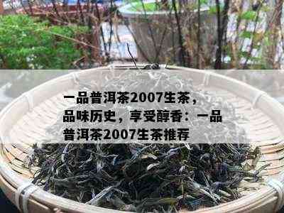 一品普洱茶2007生茶，品味历史，享受醇香：一品普洱茶2007生茶推荐