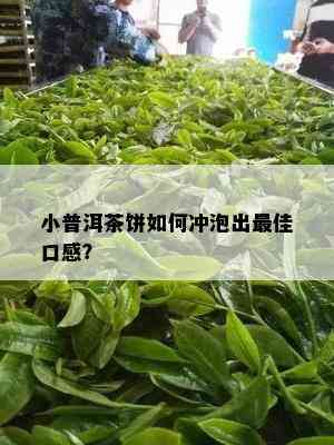 小普洱茶饼如何冲泡出更佳口感？