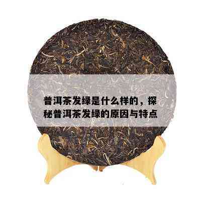 普洱茶发绿是什么样的，探秘普洱茶发绿的起因与特点