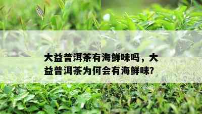 大益普洱茶有海鲜味吗，大益普洱茶为何会有海鲜味？