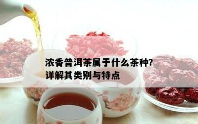 浓香普洱茶属于什么茶种？详解其类别与特点