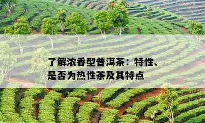 熟悉浓香型普洱茶：特性、是不是为热性茶及其特点