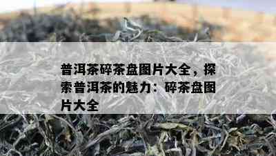 普洱茶碎茶盘图片大全，探索普洱茶的魅力：碎茶盘图片大全