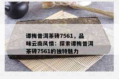 谭梅普洱茶砖7561，品味云南风情：探索谭梅普洱茶砖7561的特别魅力