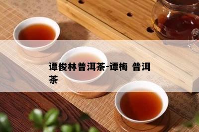 谭俊林普洱茶-谭梅 普洱茶