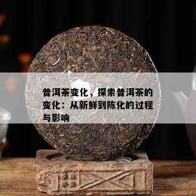 普洱茶变化，探索普洱茶的变化：从新鲜到陈化的过程与作用