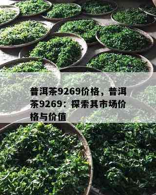 普洱茶9269价格，普洱茶9269：探索其市场价格与价值