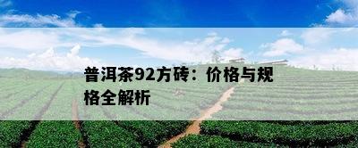 普洱茶92方砖：价格与规格全解析