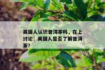 英国人认识普洱茶吗，在上讨论：英国人是不是熟悉普洱茶？