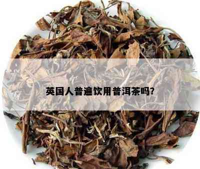 英国人普遍饮用普洱茶吗？