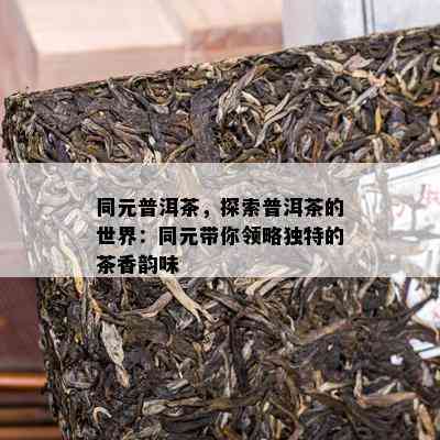 同元普洱茶，探索普洱茶的世界：同元带你领略特别的茶香韵味