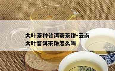 大叶茶种普洱茶茶饼-云南大叶普洱茶饼怎么喝