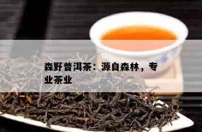 森野普洱茶：源自森林，专业茶业