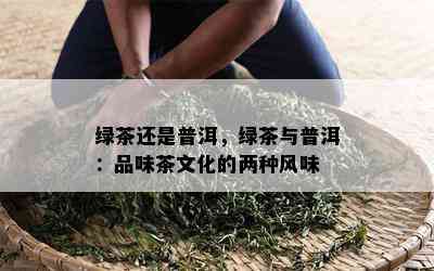 绿茶还是普洱，绿茶与普洱：品味茶文化的两种风味