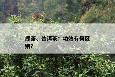 绿茶、普洱茶：功效有何区别？