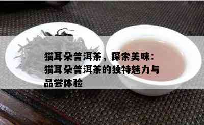 猫耳朵普洱茶，探索美味：猫耳朵普洱茶的特别魅力与品尝体验