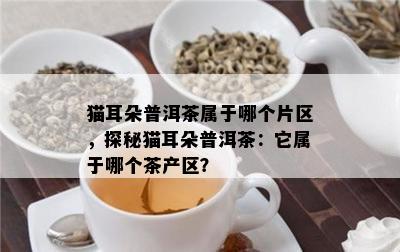 猫耳朵普洱茶属于哪个片区，探秘猫耳朵普洱茶：它属于哪个茶产区？