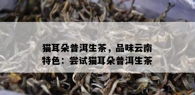 猫耳朵普洱生茶，品味云南特色：尝试猫耳朵普洱生茶