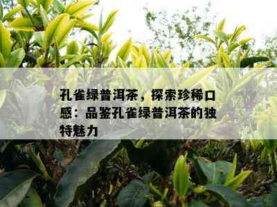 孔雀绿普洱茶，探索珍稀口感：品鉴孔雀绿普洱茶的独特魅力