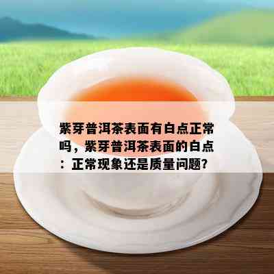 紫芽普洱茶表面有白点正常吗，紫芽普洱茶表面的白点：正常现象还是品质疑问？