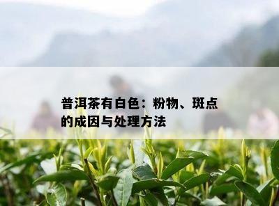 普洱茶有白色：粉物、斑点的成因与处理方法