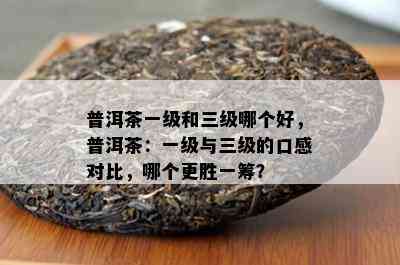 普洱茶一级和三级哪个好，普洱茶：一级与三级的口感对比，哪个更胜一筹？