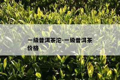 一级普洱茶沱-一级普洱茶价格