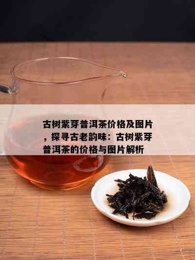 古树紫芽普洱茶价格及图片，探寻古老韵味：古树紫芽普洱茶的价格与图片解析