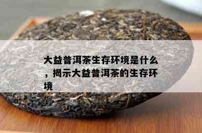 大益普洱茶生存环境是什么，揭示大益普洱茶的生存环境