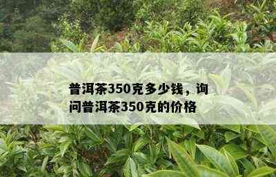 普洱茶350克多少钱，询问普洱茶350克的价格