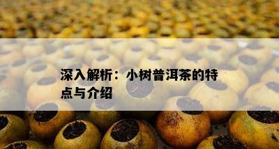 深入解析：小树普洱茶的特点与介绍