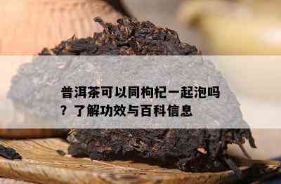 普洱茶可以同枸杞一起泡吗？熟悉功效与百科信息