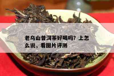 老乌山普洱茶好喝吗？上怎么说，看图片评测