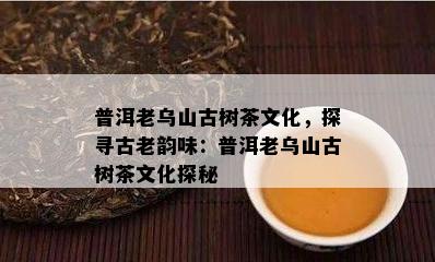 普洱老乌山古树茶文化，探寻古老韵味：普洱老乌山古树茶文化探秘