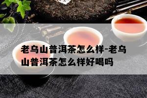 老乌山普洱茶怎么样-老乌山普洱茶怎么样好喝吗